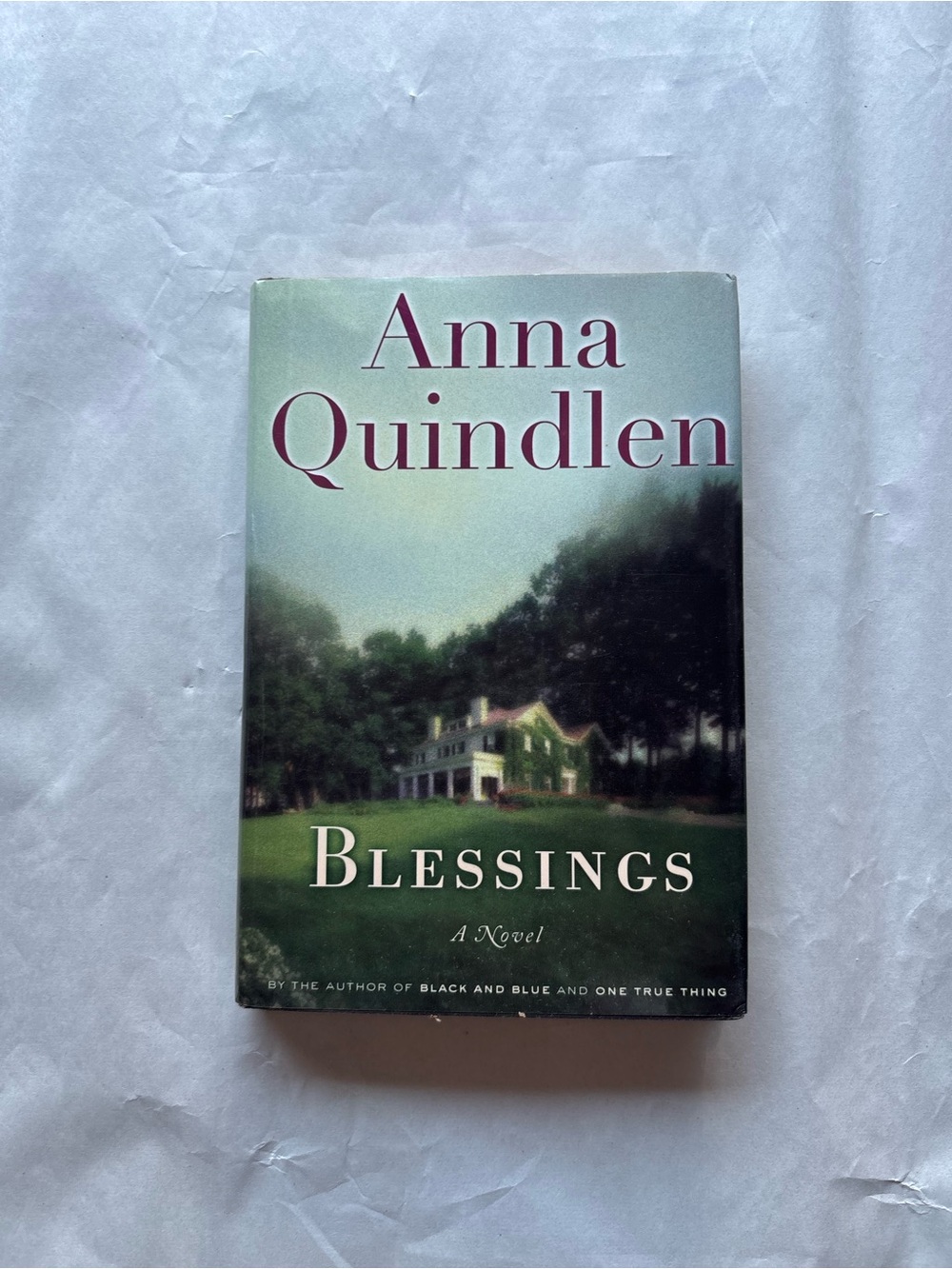 Blessings by Anna Quindlen (2002) Hardcover w/ Dust Jacket Random House